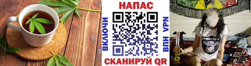 магазин продажи наркотиков  Новозыбков  Печенье с ТГК конопля 