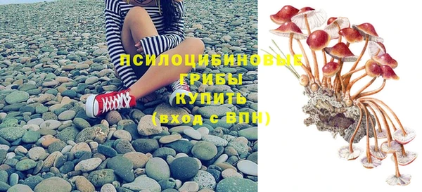 прущие крисы Армянск