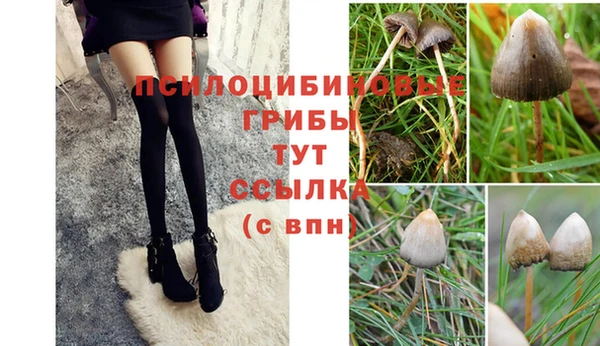 соль курить ск Аркадак